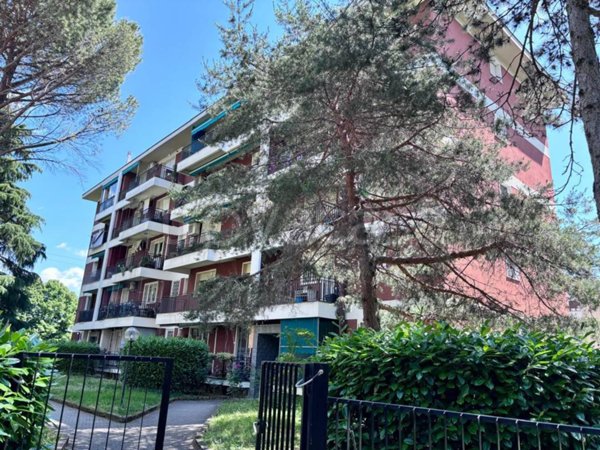 immagine annuncio 0 di 15