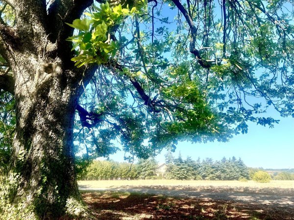 appartamento in vendita a Sasso Marconi