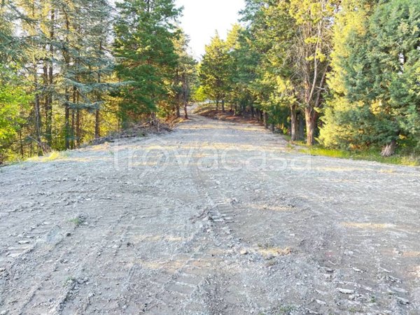 casa indipendente in vendita a Sasso Marconi