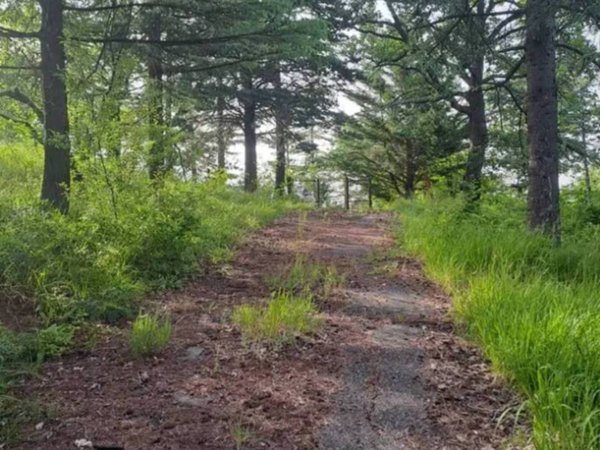 quadrivano in vendita a Sasso Marconi