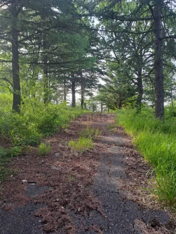 quadrivano in vendita a Sasso Marconi