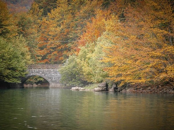 appartamento in vendita a Sasso Marconi