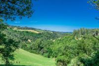 terreno agricolo in vendita a Sasso Marconi