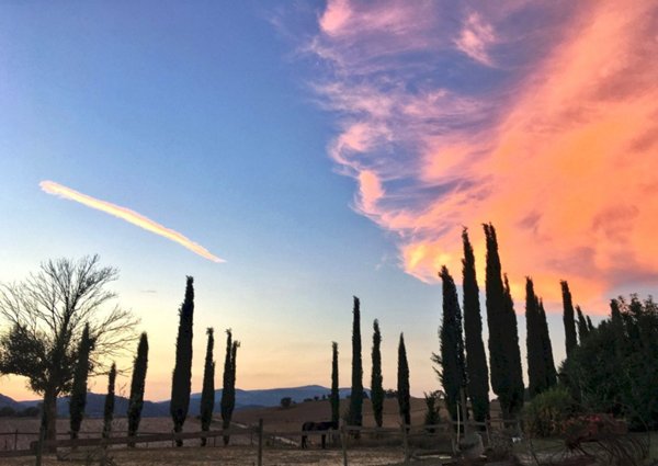 terreno agricolo in vendita a Sasso Marconi