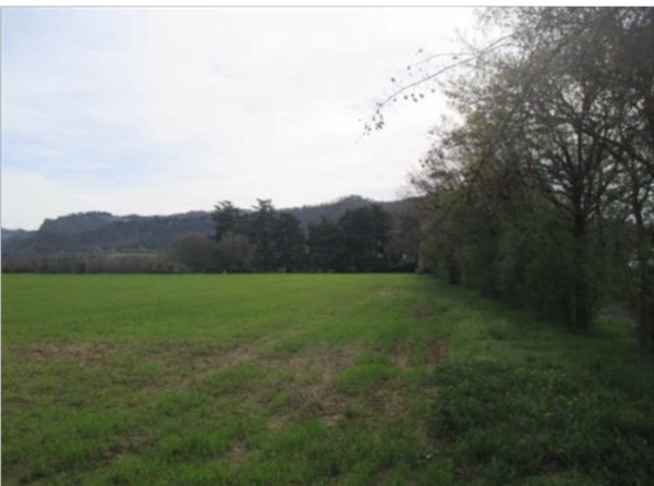 terreno agricolo in vendita a Sasso Marconi