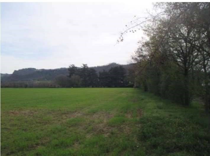 appartamento in vendita a Sasso Marconi