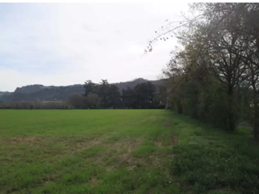 terreno agricolo in vendita a Sasso Marconi
