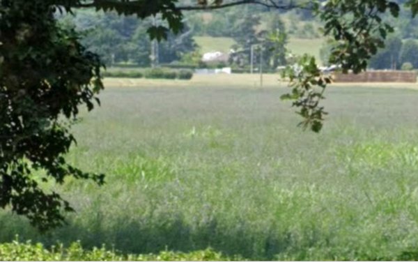 terreno agricolo in vendita a Sasso Marconi