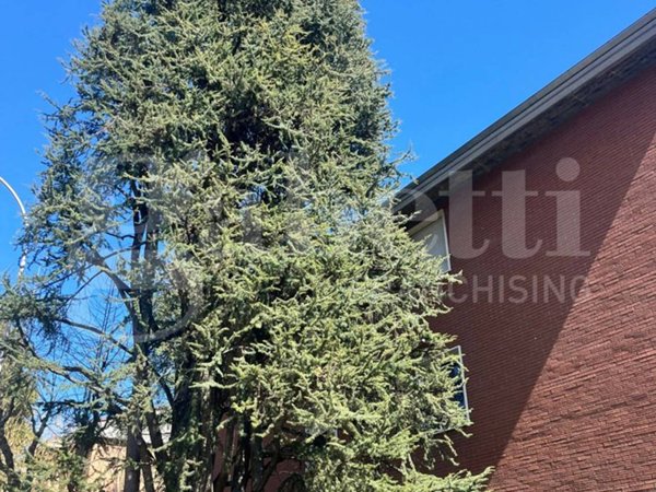 quadrivano in vendita a Sasso Marconi