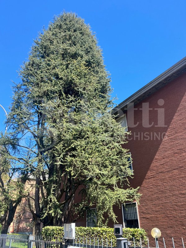 quadrivano in vendita a Sasso Marconi