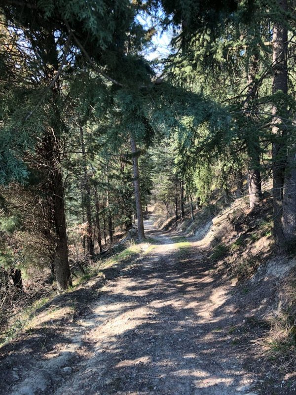 appartamento in vendita a Sasso Marconi