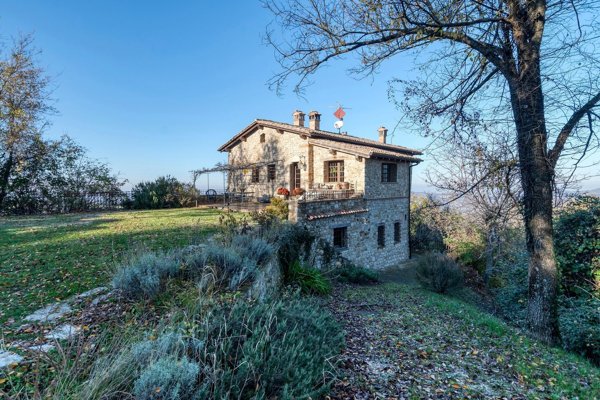 esavano in vendita a Sasso Marconi