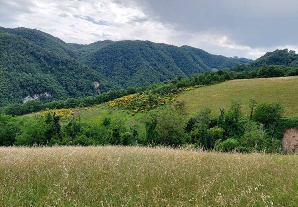 terreno in vendita a Sasso Marconi