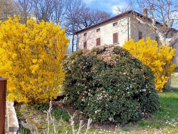 casa indipendente in vendita a Vergato