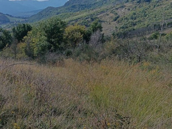 casa indipendente in vendita a Vergato