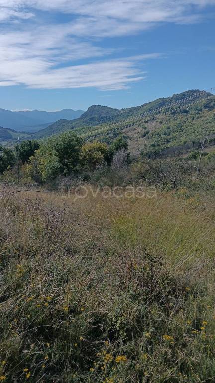 casa indipendente in vendita a Vergato