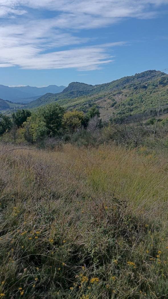 casa indipendente in vendita a Vergato in zona Riola