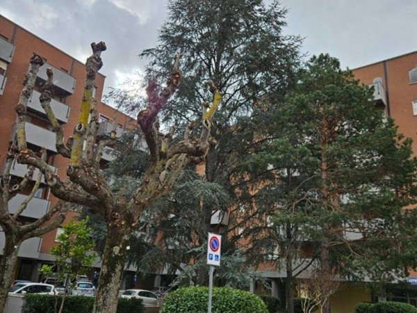 appartamento in vendita a Vergato