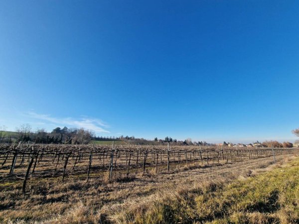terreno agricolo in vendita a Zola Predosa