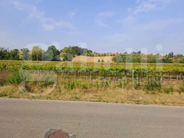 terreno agricolo in vendita a Zola Predosa in zona Ponte Ronca