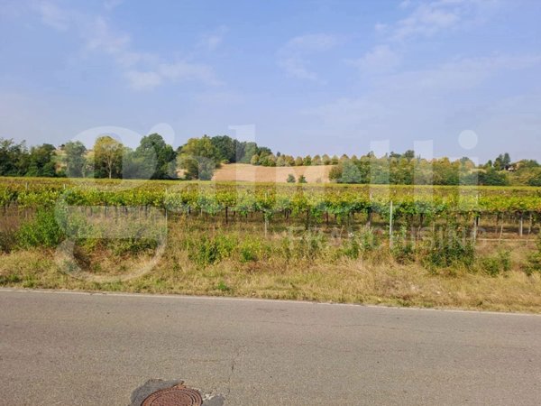 terreno agricolo in vendita a Zola Predosa in zona Ponte Ronca