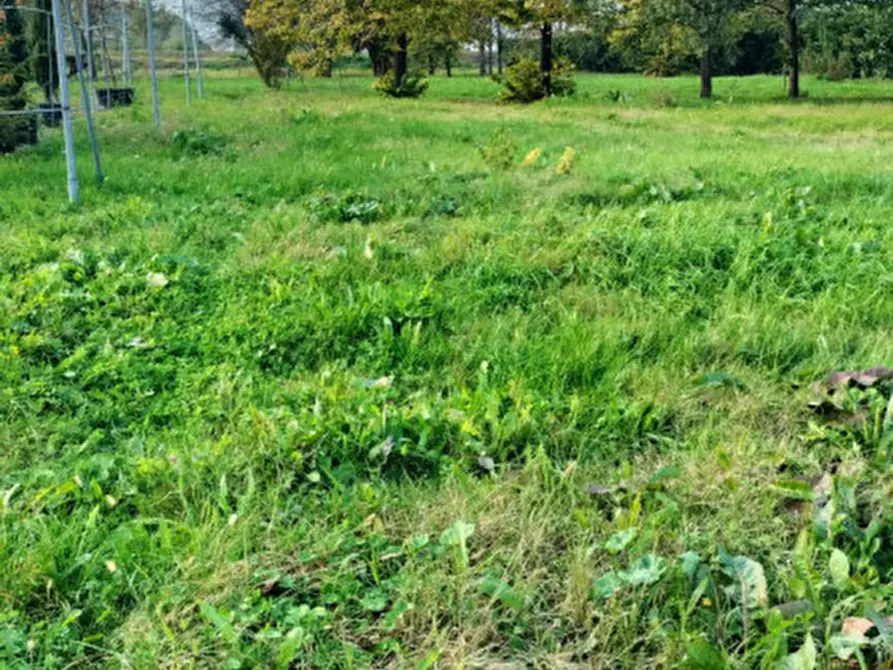 mansarda in vendita a Zola Predosa