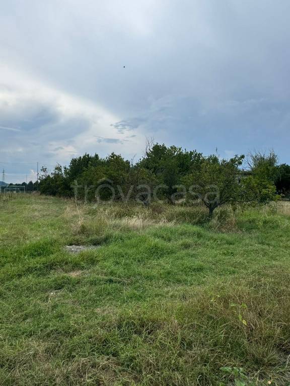 terreno agricolo in vendita a Zola Predosa in zona Madonna Prati