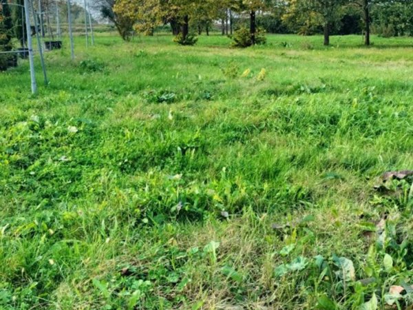 terreno agricolo in vendita a Zola Predosa in zona Riale