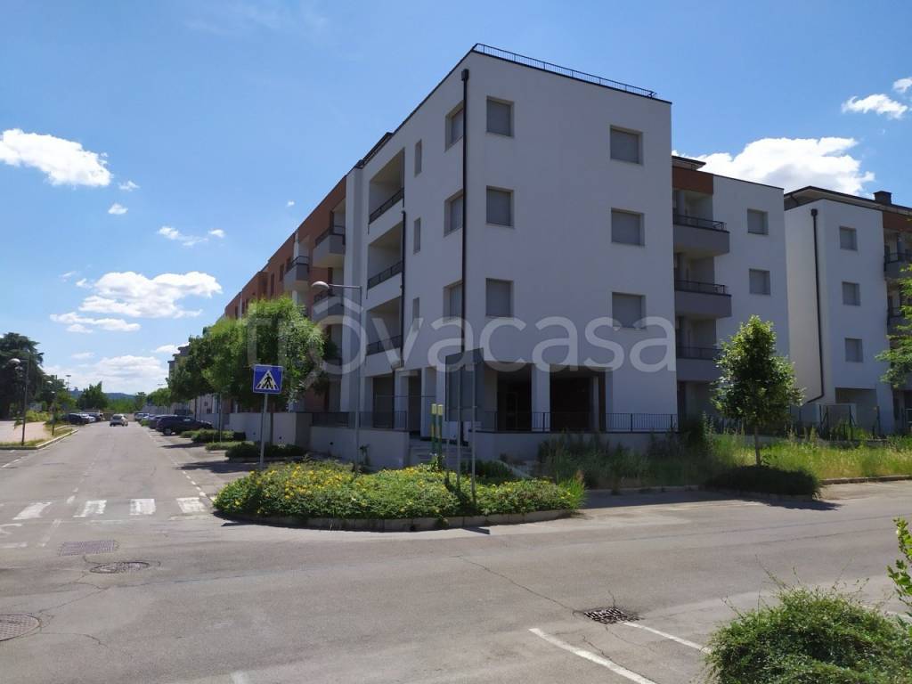 appartamento in vendita a Zola Predosa