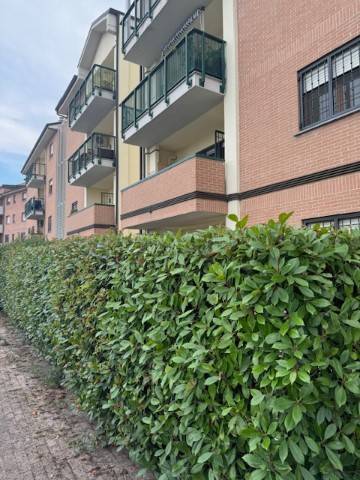 appartamento in vendita a Zola Predosa in zona Ponte Ronca