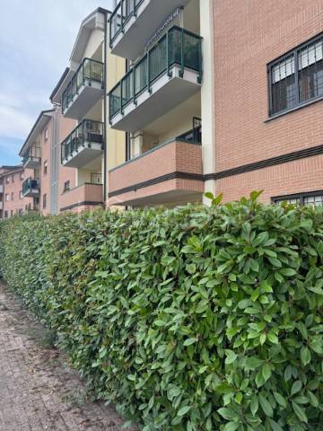 appartamento in vendita a Zola Predosa in zona Ponte Ronca