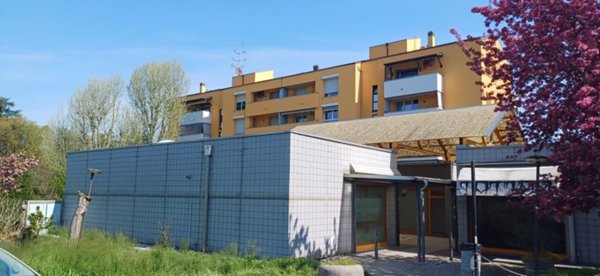 pentavano in vendita a Zola Predosa