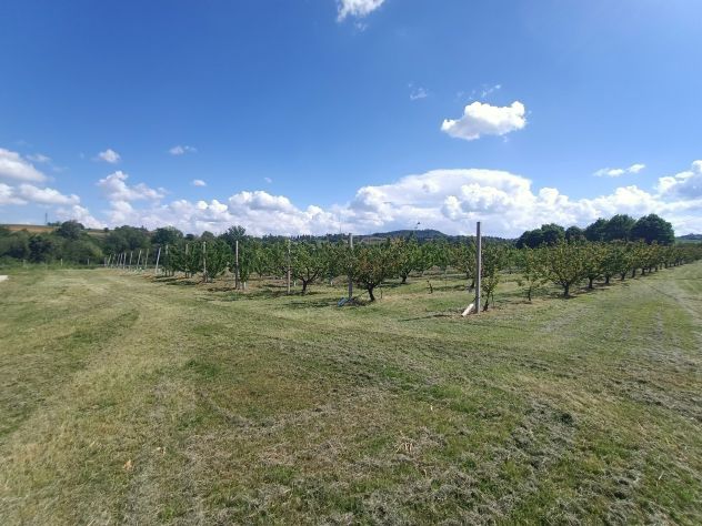 terreno agricolo in vendita a Valsamoggia in zona Bazzano