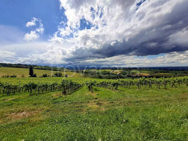 terreno agricolo in vendita a Valsamoggia in zona Montebudello
