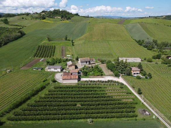 villa in vendita a Valsamoggia in zona Fagnano