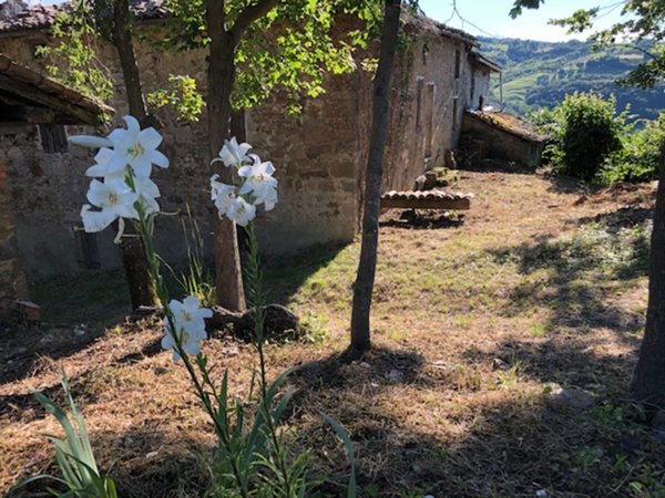 casale in vendita a Valsamoggia in zona Savigno