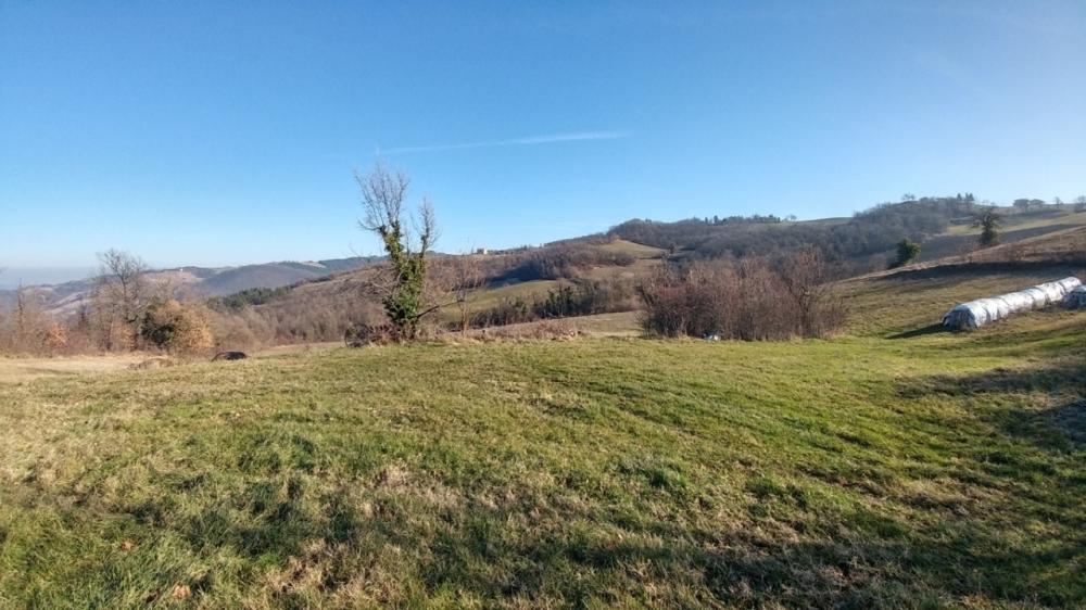casa indipendente in vendita a Valsamoggia in zona Savigno