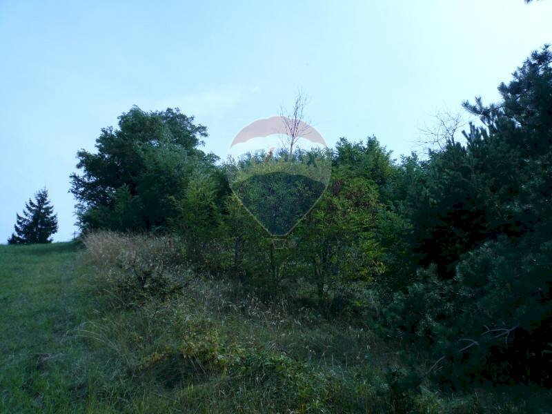 locale di sgombero in vendita a Valsamoggia in zona Savigno