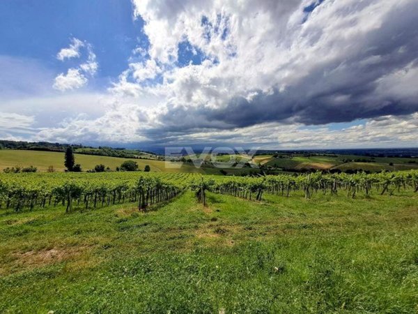 terreno agricolo in vendita a Valsamoggia in zona Montebudello