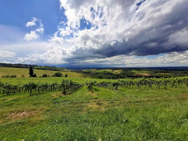 terreno agricolo in vendita a Valsamoggia in zona Montebudello
