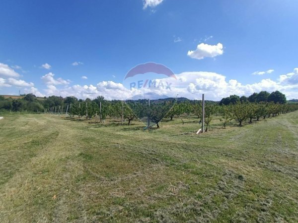 azienda agricola in vendita a Valsamoggia in zona Bazzano