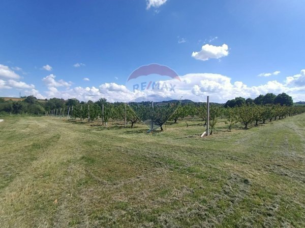 azienda agricola in vendita a Valsamoggia in zona Bazzano