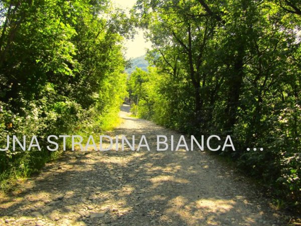 casa indipendente in vendita a Valsamoggia in zona Goccia