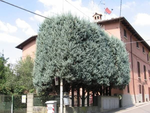 casa indipendente in vendita a Valsamoggia in zona Monteveglio