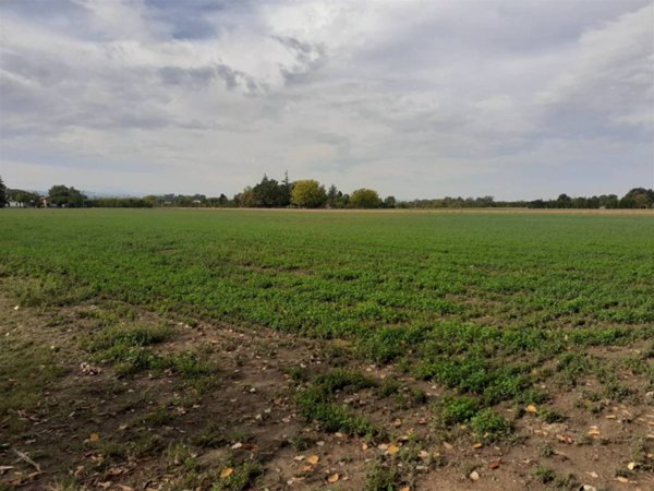 terreno agricolo in vendita a Valsamoggia in zona Bazzano