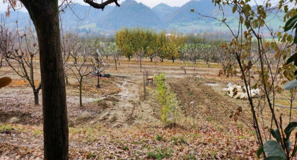 terreno agricolo in vendita a Valsamoggia in zona Monteveglio