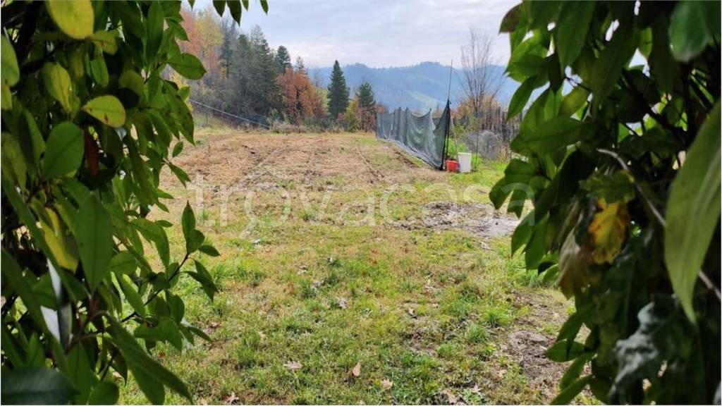 appartamento in vendita a Valsamoggia in zona Monteveglio
