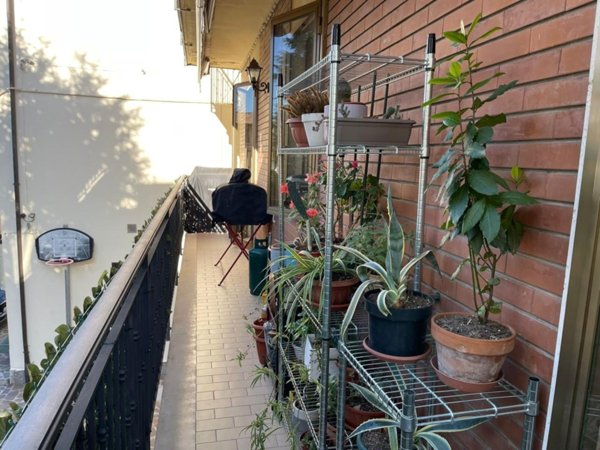 appartamento in vendita a Valsamoggia in zona Bazzano