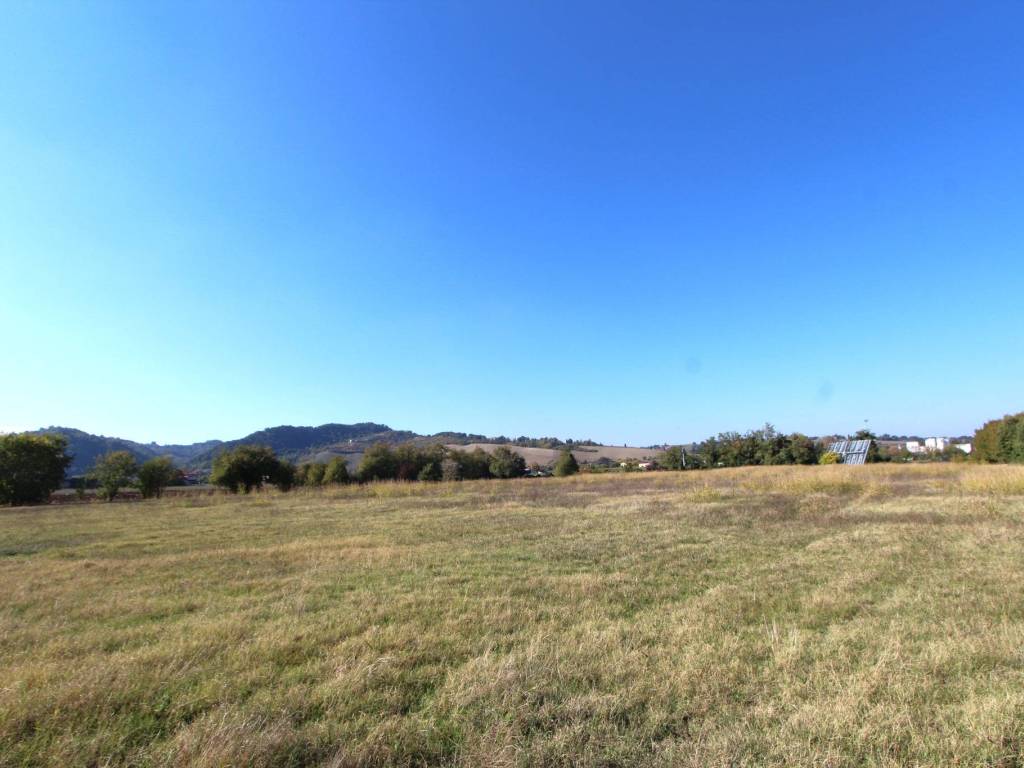 terreno agricolo in vendita a Valsamoggia in zona Muffa