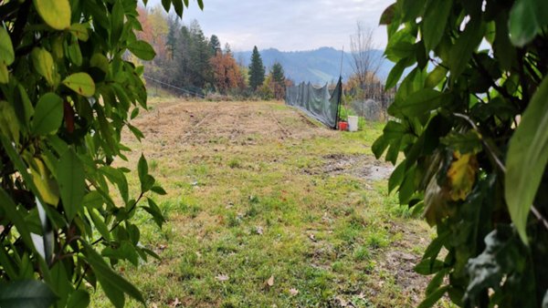 terreno agricolo in vendita a Valsamoggia in zona Monteveglio